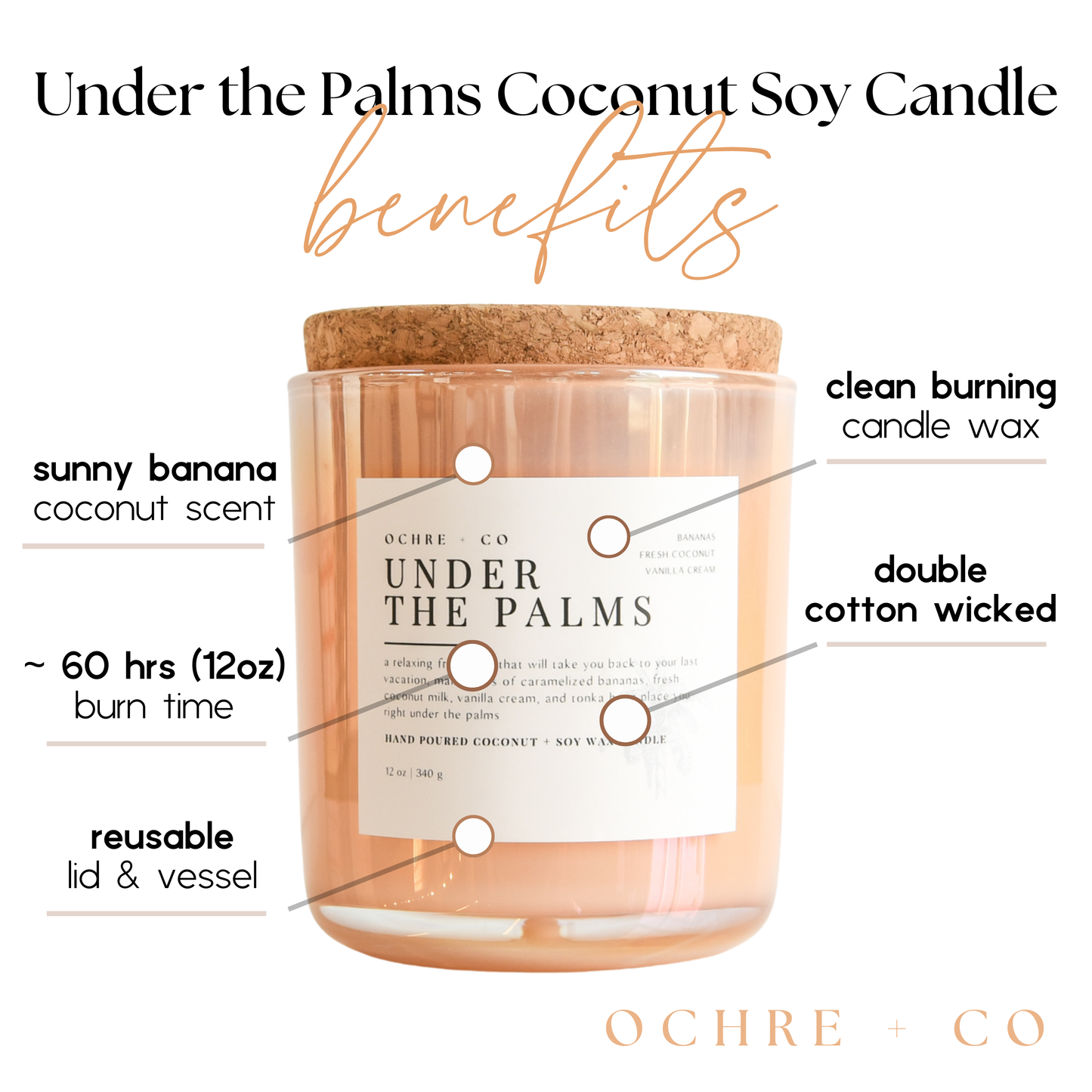 Under the Palms - Coconut Soy Candle