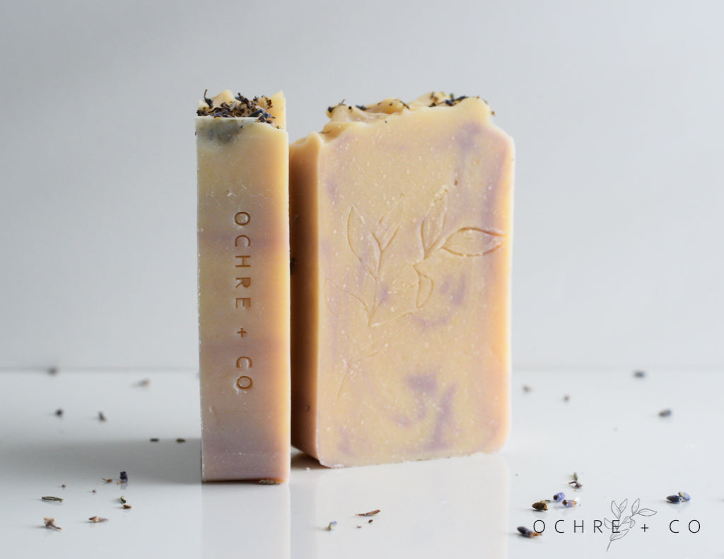 Two bars of creamy white and lavender goat milk bars on a white background with scattered dried lavender buds