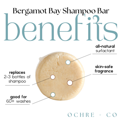 Bergamot Bay Shampoo Bar with labeled benefits on a white background
