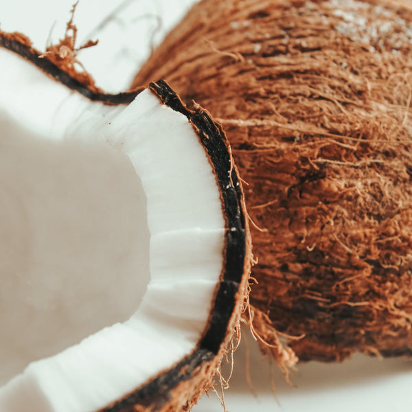 A close-up photo of an open coconut with the outside of a coconut in the background