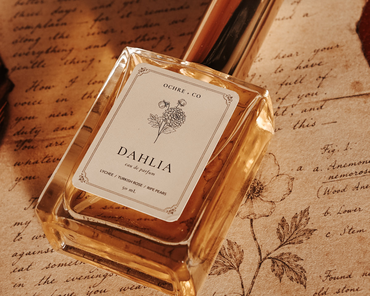 Dahlia Fragrance