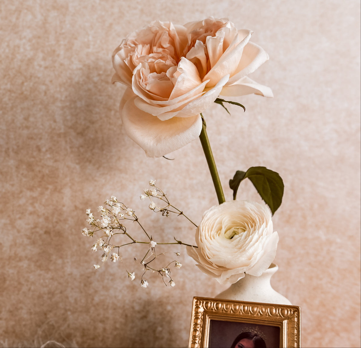 Explore the Perfume Guide