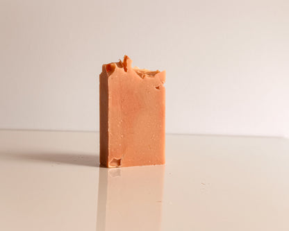 Summer of '26 Soap Bar - Limited